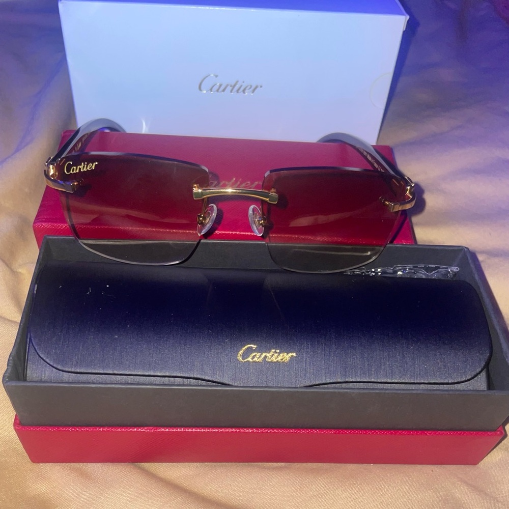 Cartier Buffalo Horn Sunglasses Black